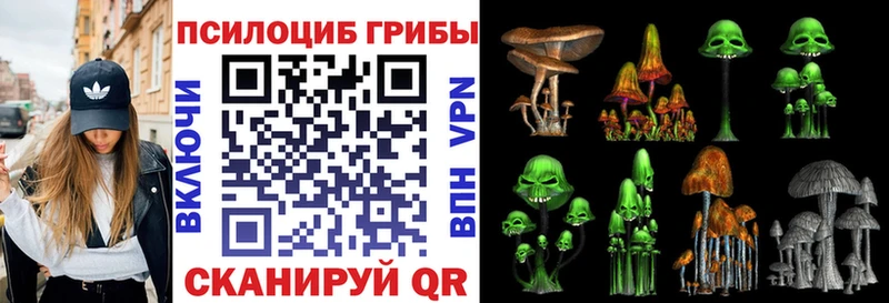 Псилоцибиновые грибы GOLDEN TEACHER  Юрюзань 